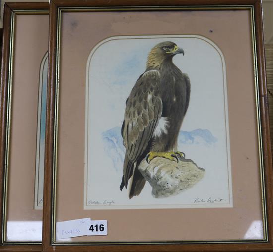 Robin Reckitt, pair of watercolours, Golden Eagle & Eleanors Falcon, signed, 28 x 21cm.